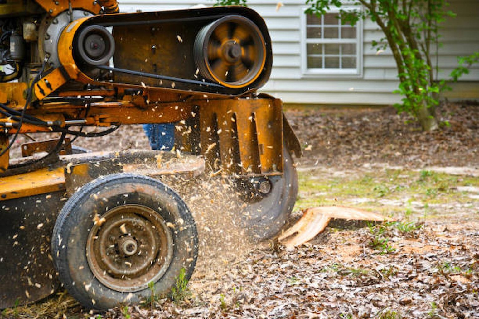 Stump Grinding machine, Affordable stump grinding in chevy chase MD